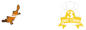Shapland Swim School